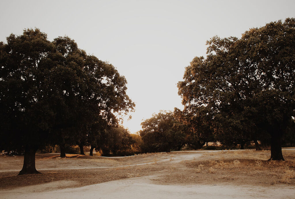 Apostamos por la conservación
